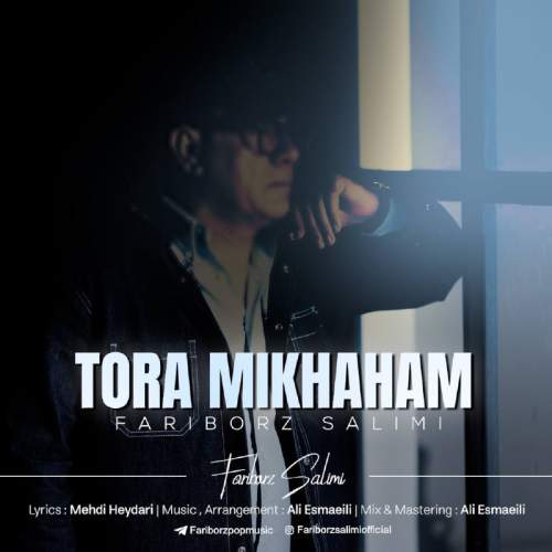 فریبرز سلیمى - تورا میخواهم