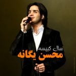دانلود آهنگ جدید محسن یگانه و حامد هاکان با عنوان سرنوشت