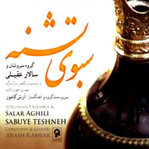 دانلود آهنگ جدید سالار عقیلی با عنوان دشت غمگین