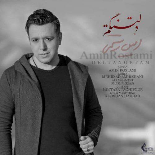 دانلود آهنگ جدید امین رستمی با عنوان دلتنگم