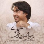 دانلود آهنگ جدید پرواز همای با عنوان دیوانه تر شدم