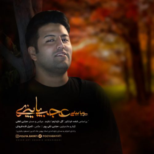 دانلود آهنگ جدید پویا بیاتی به نام عجب پاییزی