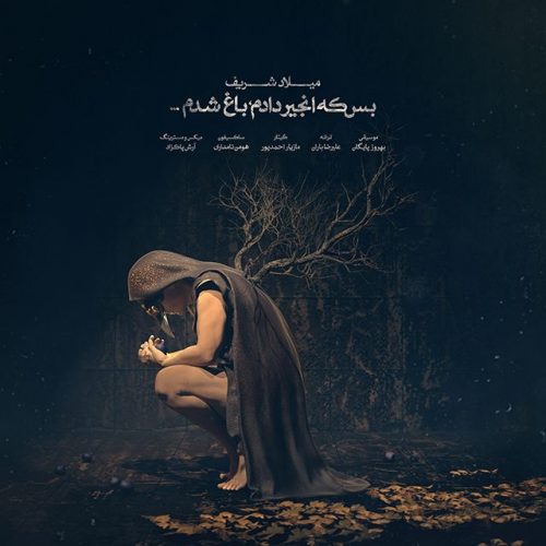 دانلود آهنگ جدید میلاد شریف به نام بس که انجیر دادم باغ شدم