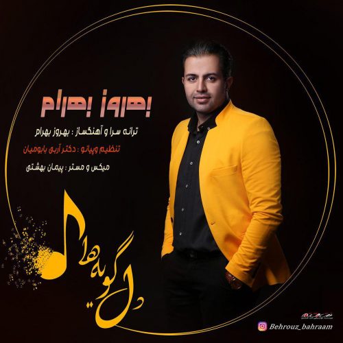 دانلود آهنگ جدید بهروز بهرام به نام دل گویه ها