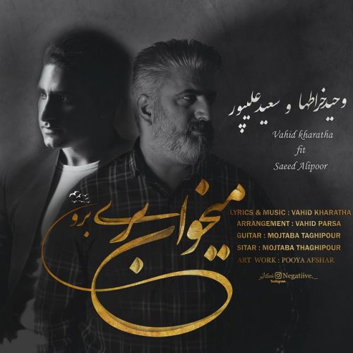 دانلود آهنگ جدید وحید خراطها و سعید علیپور به نام میخوای بری برو