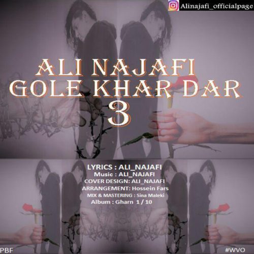 دانلود آهنگ جدید علی نجفی به نام گل خاردار 3 Download New Music By Ali Najafi Called Gole Khaardar 3