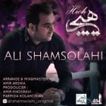 دانلود آهنگ جدید علی شمس الهی با عنوان هیچ