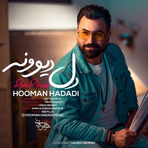 هومن حدادی - دل دیوونه
