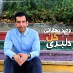 دانلود آهنگ جدید وحید دهقانی با عنوان دلبری کن