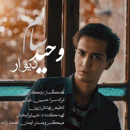 وحید سام - دیوار