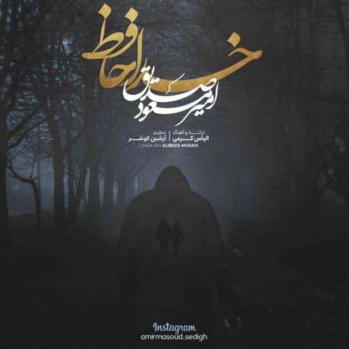 امیر مسعود صدیق - خداحافظ