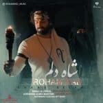 دانلود آهنگ جدید رهام راد با عنوان شاه دلم