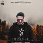 دانلود آهنگ جدید پدرام پالیز با عنوان ای آشنای من