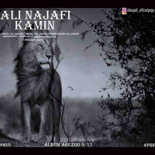 علی نجفی - کمین