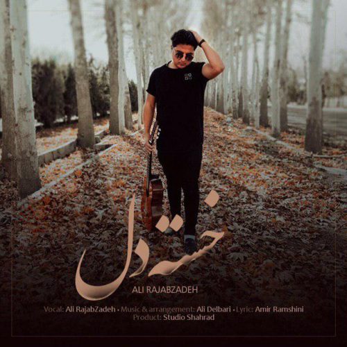 علی رجب زاده - خسته دل