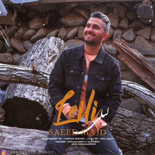 دانلود آهنگ جدید سعید مجد