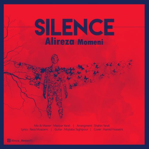 علیرضا مومنی - سکوت