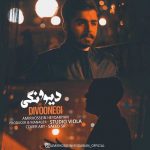 دانلود آهنگ جدید امیرحسین حیدریان با عنوان دیوونگی