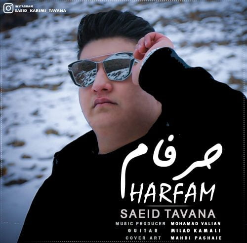 سعید توانا - حرفام