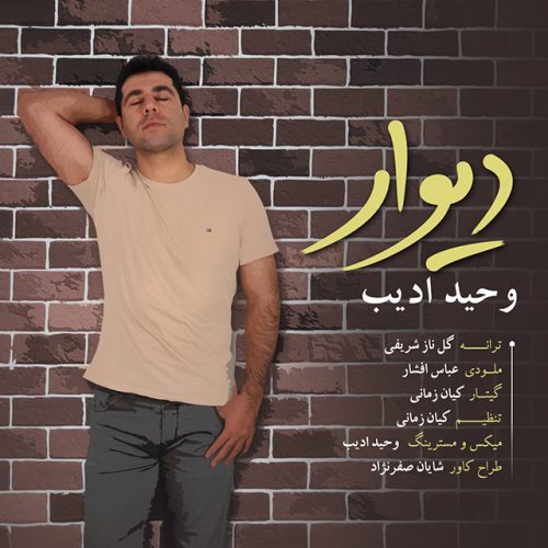 وحید ادیب - دیوار