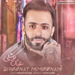 دانلود آهنگ جدید عباس کوشکی با عنوان دیوونت میمونم