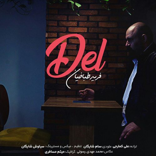 فرید طباخیان - دل