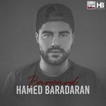 دانلود آهنگ جدید حامد برادران با عنوان برگرد