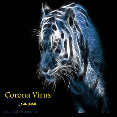 هوم هان - کرونا