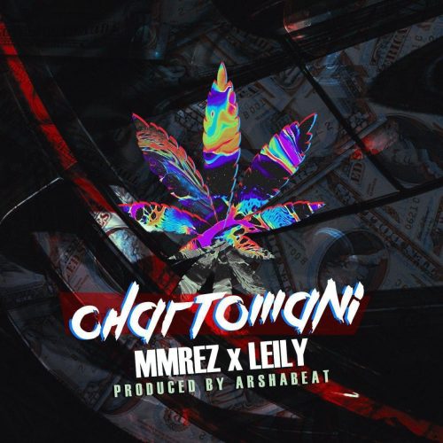 ممرض - چارتومنی