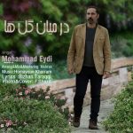 دانلود آهنگ جدید محمد عیدی با عنوان در میان گل ها