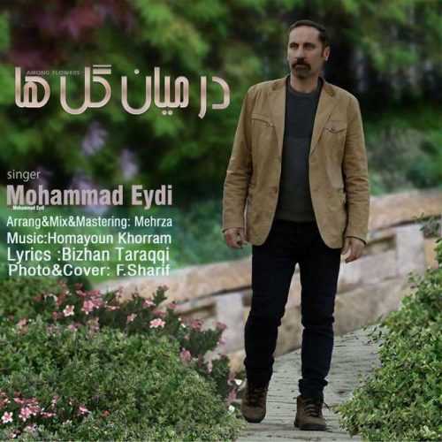محمد عیدی - در میان گل ها