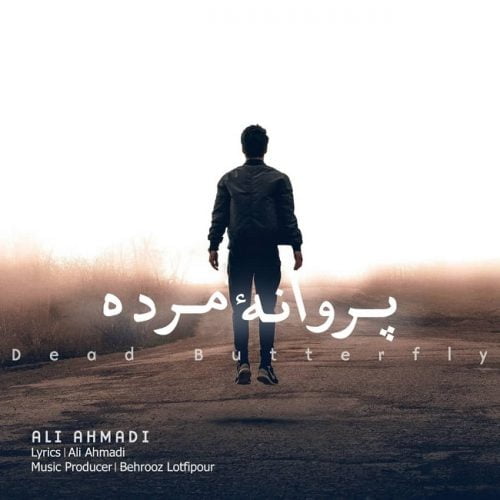 دانلود آهنگ جدید علی احمدی با عنوان پروانه ی مرده