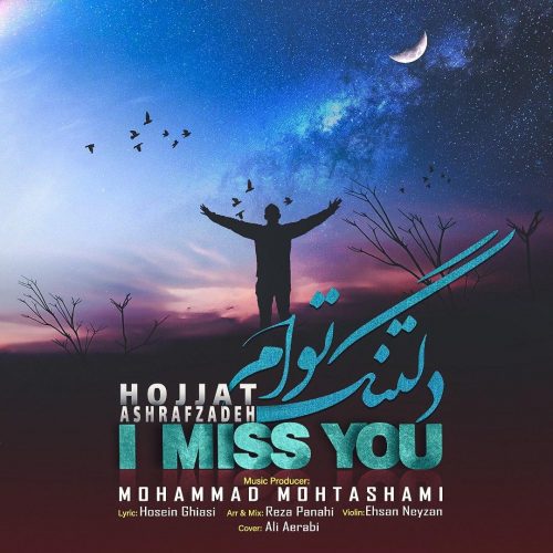 دانلود آهنگ جدید حجت اشرف‌ زاده با عنوان دلتنگ توام