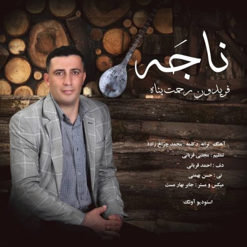 دانلود آهنگ جدید فریدون رحمت پناه با عنوان ناجه