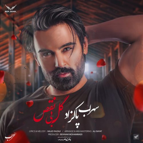 دانلود آهنگ جدید سهراب پاکزاد با عنوان گل بی نقص
