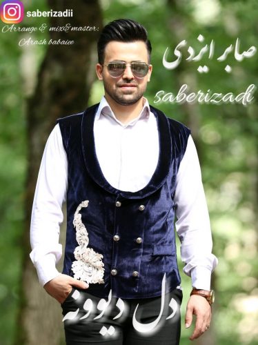 دانلود آهنگ جدید صابر ایزدی با عنوان دل دیوونه