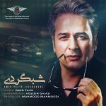 دانلود آهنگ جدید امیر تاجیک با عنوان شبگردی