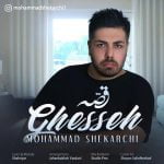 دانلود آهنگ جدید محمد شکارچی با عنوان قصه