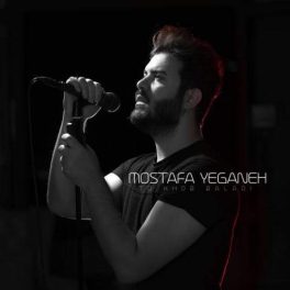 تو خوب بلدی