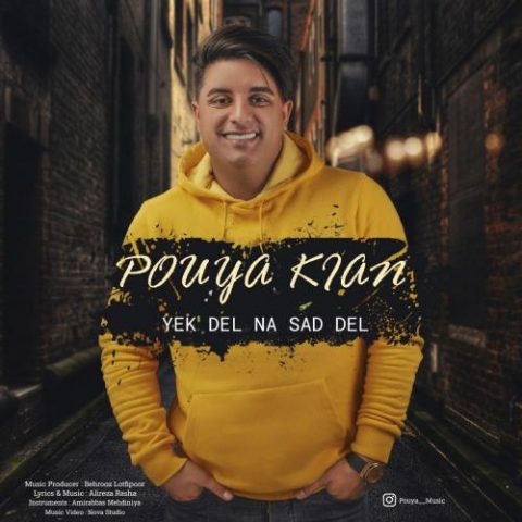 یک دل نه صددل