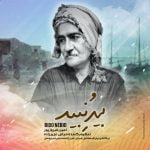 دانلود آهنگ جدید امین فیروزپور با عنوان بیدو نبید