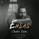 دانلود آهنگ جدید شاهین سلیمی با عنوان احساس