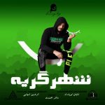 دانلود آهنگ جدید شروین شهابی با عنوان شهر گریه