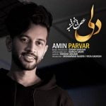 دانلود آهنگ جدید امین پرور با عنوان عصر پنج شنبه (دلی)