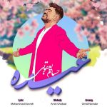 دانلود آهنگ جدید حسام یعقوبی با عنوان عیده