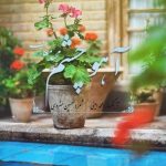 دانلود آهنگ جدید مجید معاف با عنوان آهو چشم