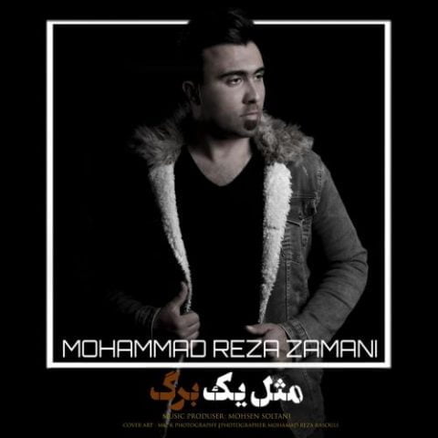 دانلود آهنگ جدید محمد رضا زمانی با عنوان مثل یه برگ