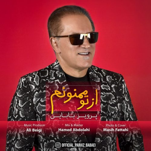 دانلود آهنگ جدید پرویز بابایی با عنوان از تو ممنونم