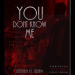دانلود آهنگ جدید راستینم با عنوان You Dont Know Me