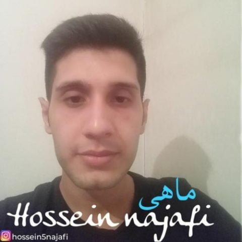 دانلود آهنگ جدید حسین نجفی با عنوان ماهی